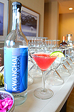 THE KWANCHAI VODKA COCKTAIL PARTY